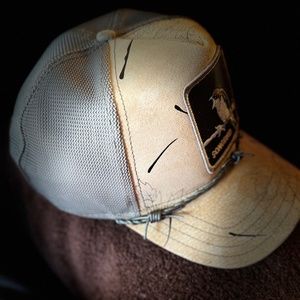 Goorin hat “songbird”